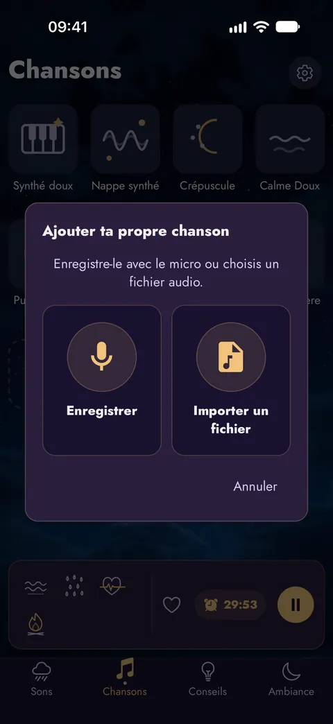 Ajouter ta propre chanson : l'enregistrer au micro ou choisir un fichier audio